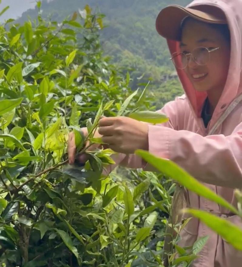 Bikki'S Jungle Homestay Ha Giang Exterior foto